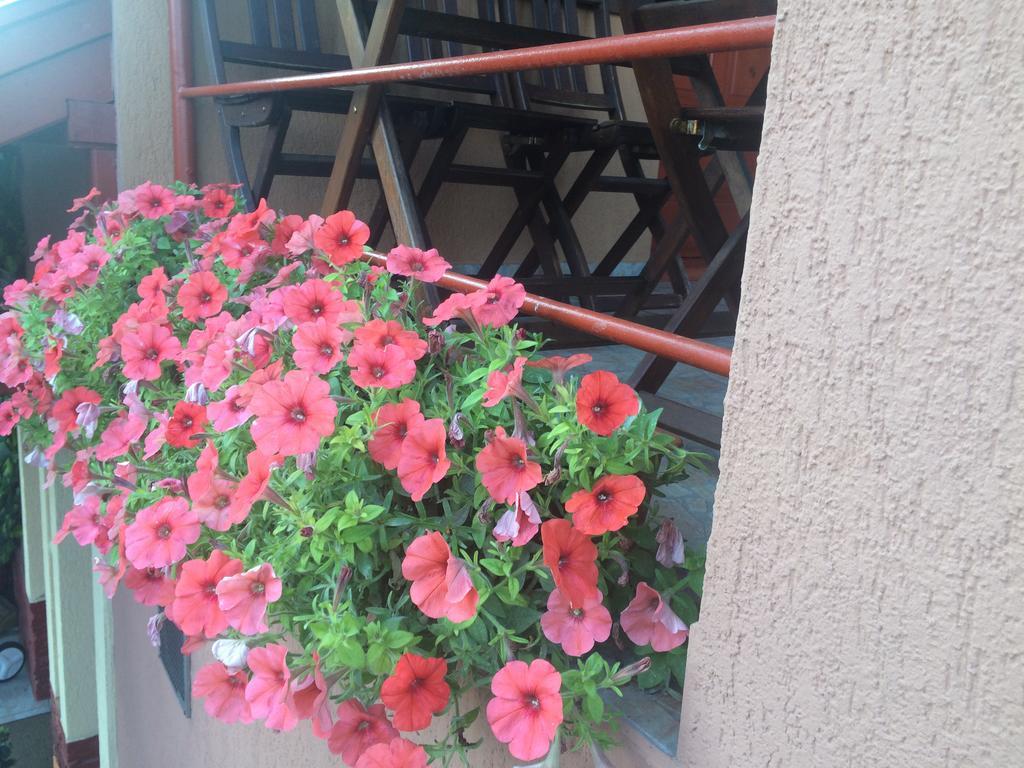 Hotel Nyirjes Vendeghaz Balassagyarmat Exterior foto