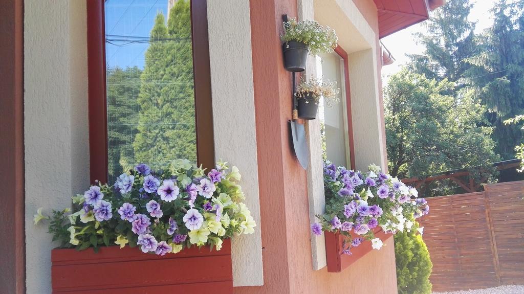 Hotel Nyirjes Vendeghaz Balassagyarmat Exterior foto